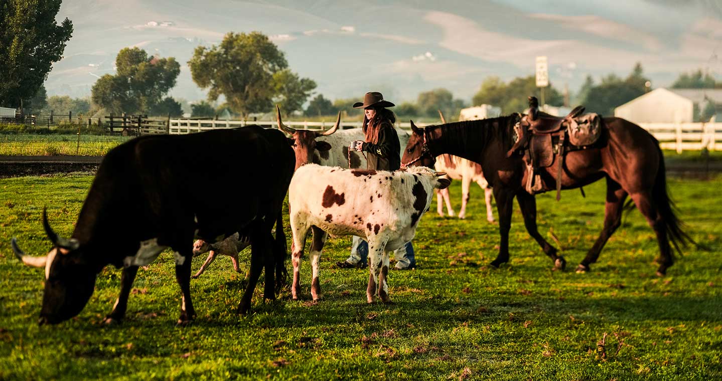 Community Page Full Width