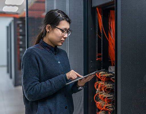 Nexus Job Titles Technical