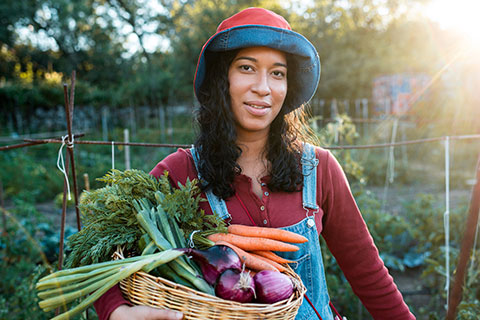 Nexus Local Partnerships Produce